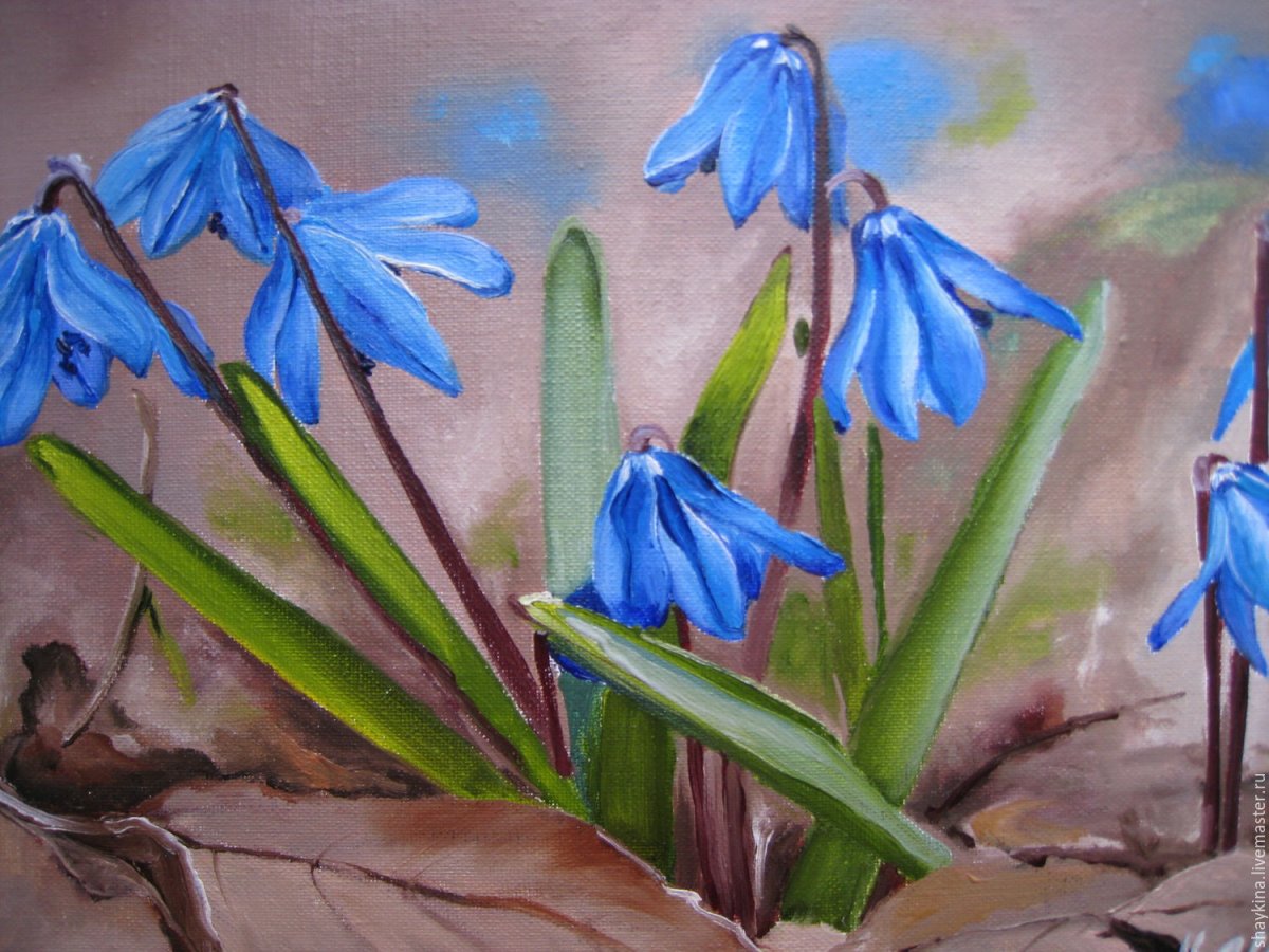 Наталья Шайкина художник