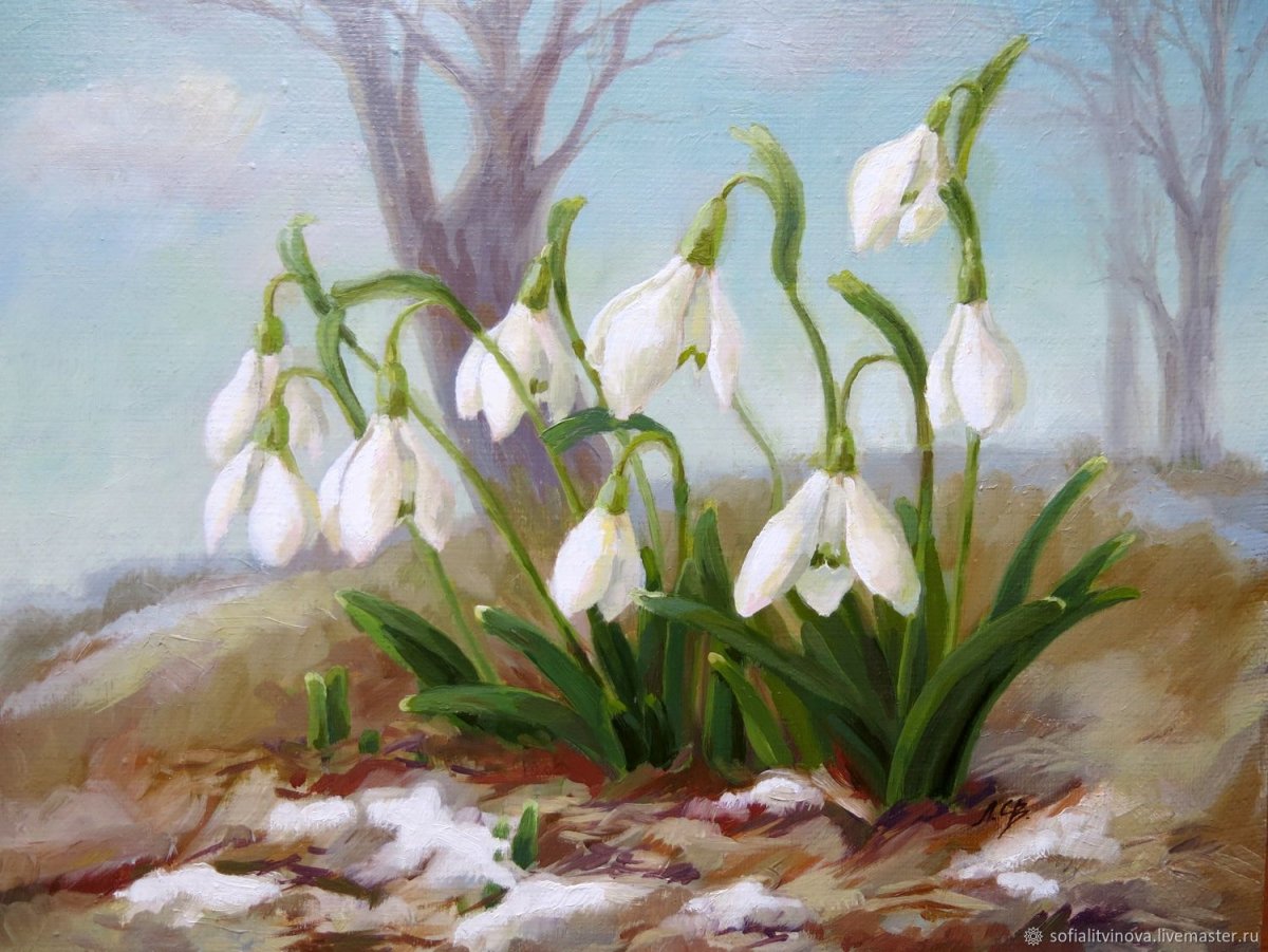 Плакат берегите первоцветы