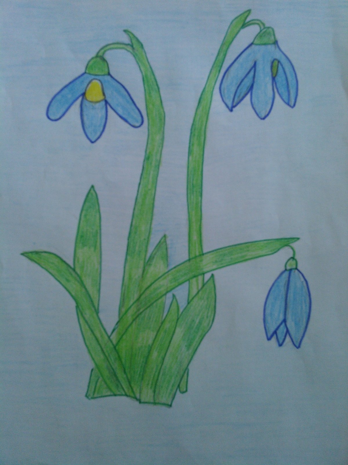 Рисование первых весенних цветов