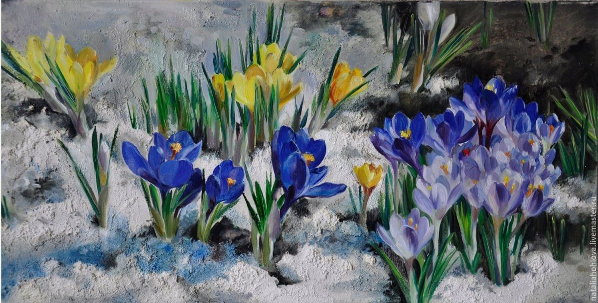 Пролеска Крокус Галантус