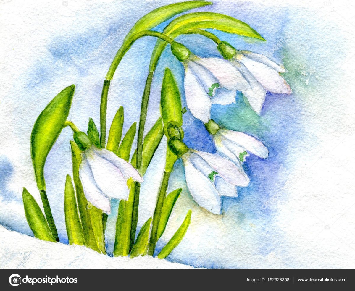 Вышивка первоцветы