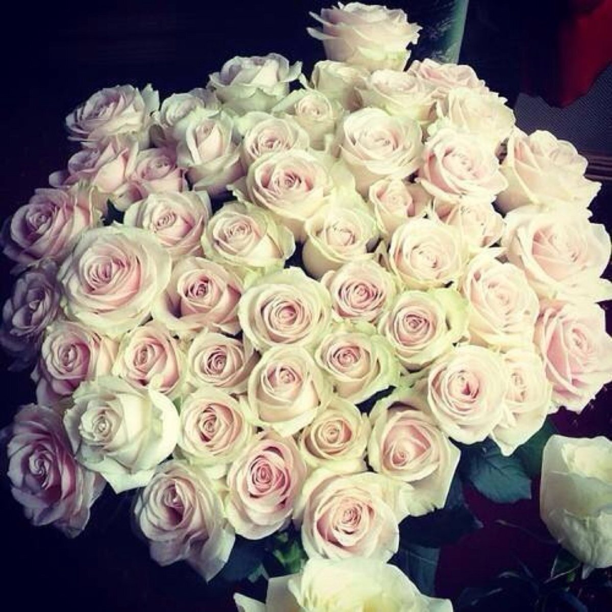 Ок атиргуллар букет