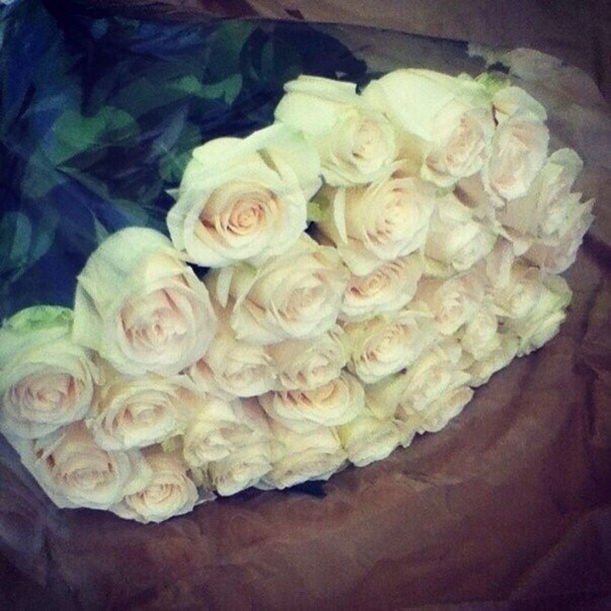 101 Белая роза