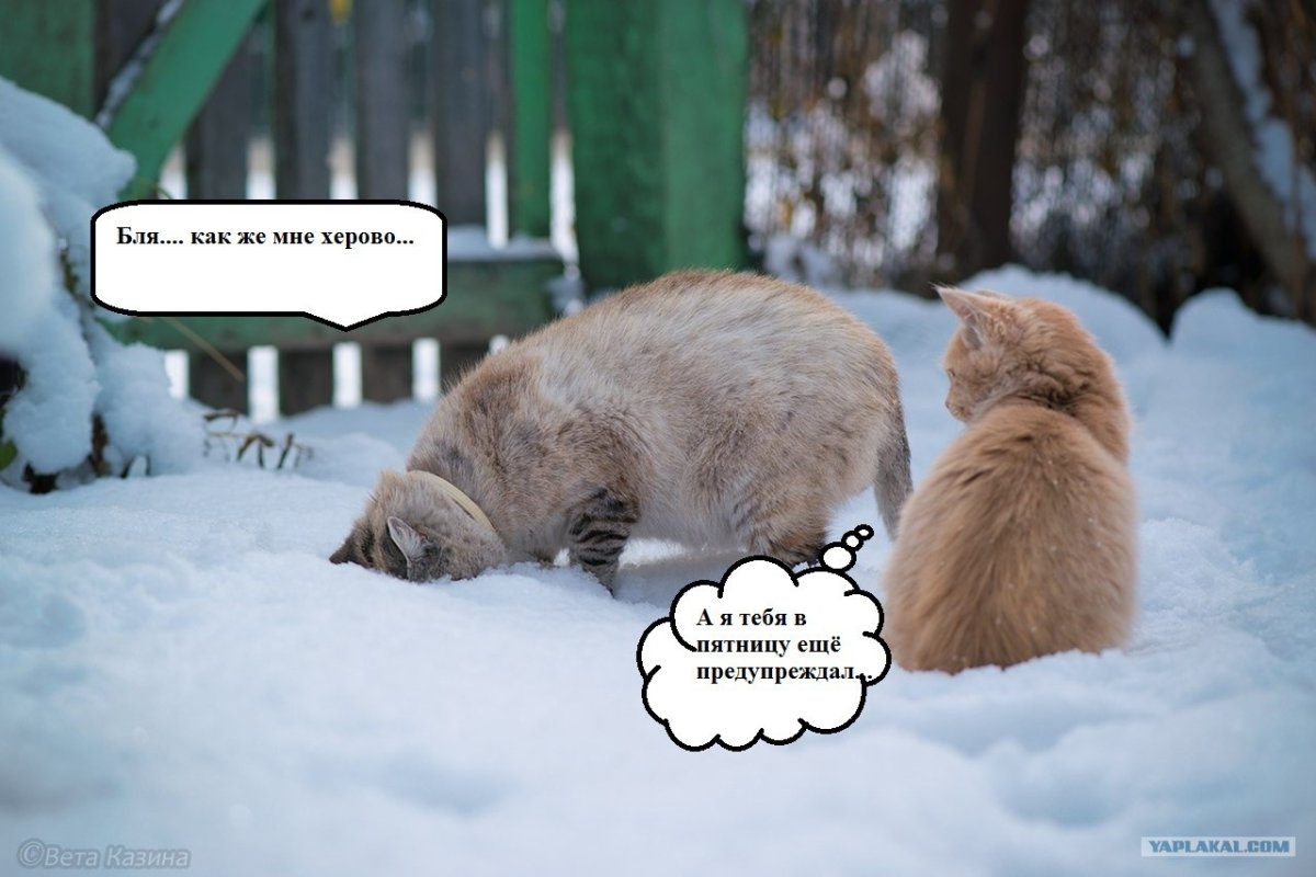 С пятницы на субботу