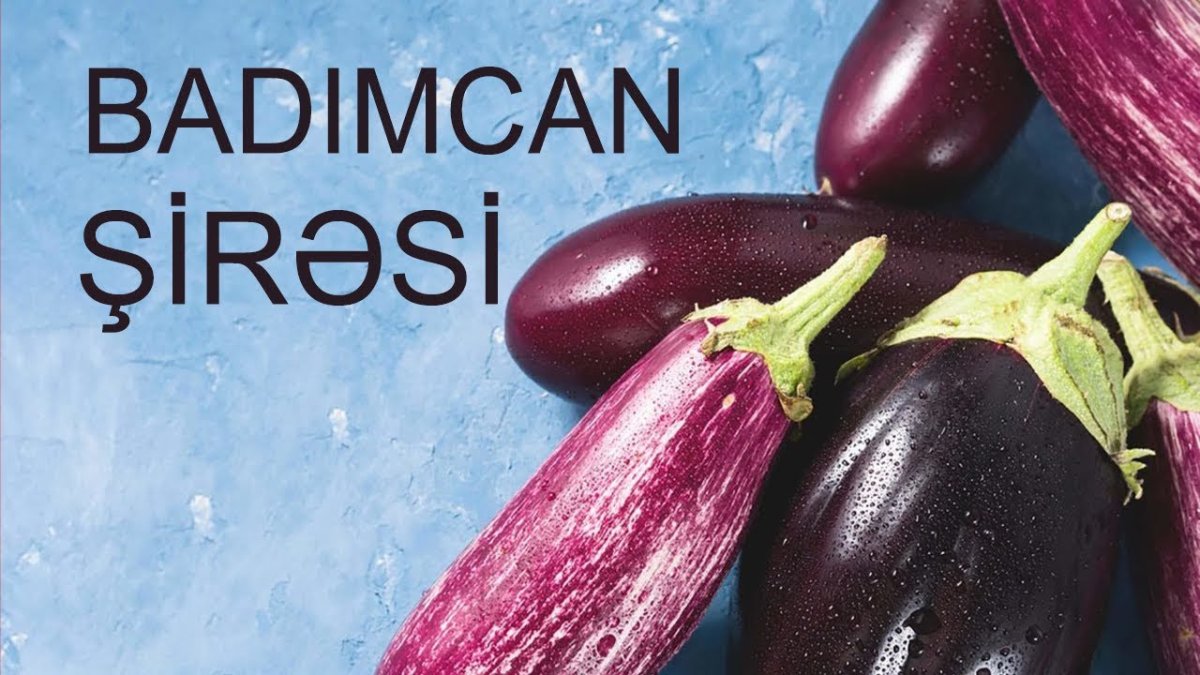 Баклажан крупным планом