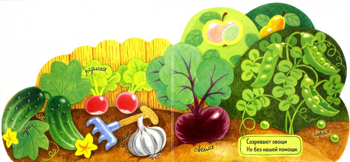 Сказочные овощи на грядке