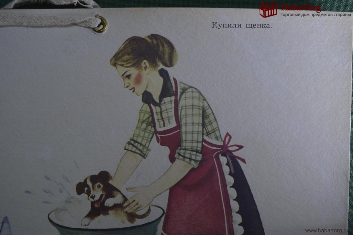 Серия картин купили щенка