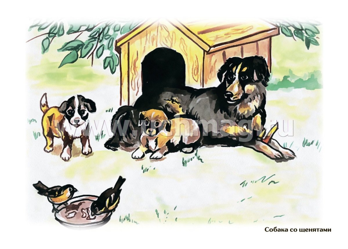 Сюжетная картина собака со щенятами