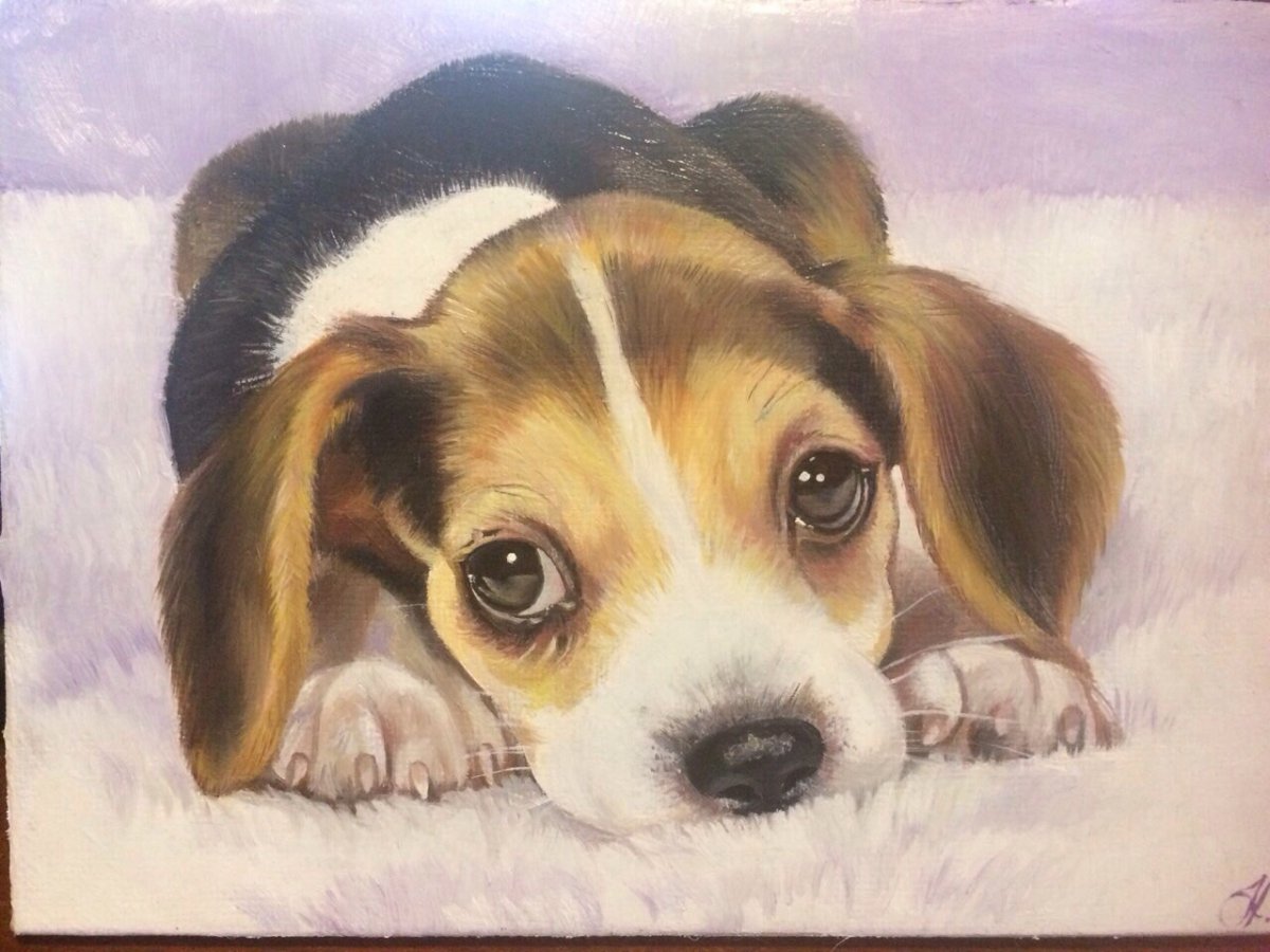 Собачка живопись