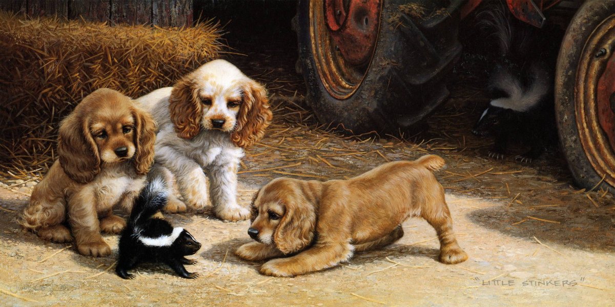 Собака со щенятами картина для детского сада