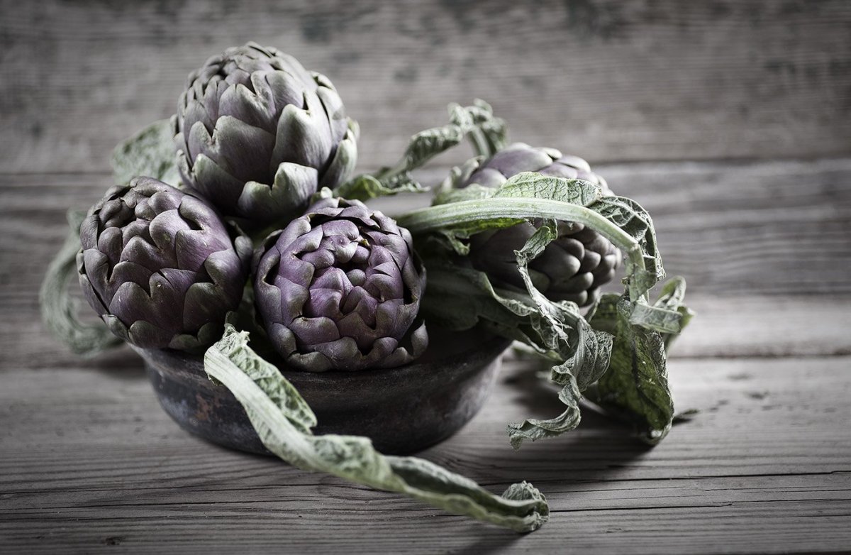 Артишоки огородные