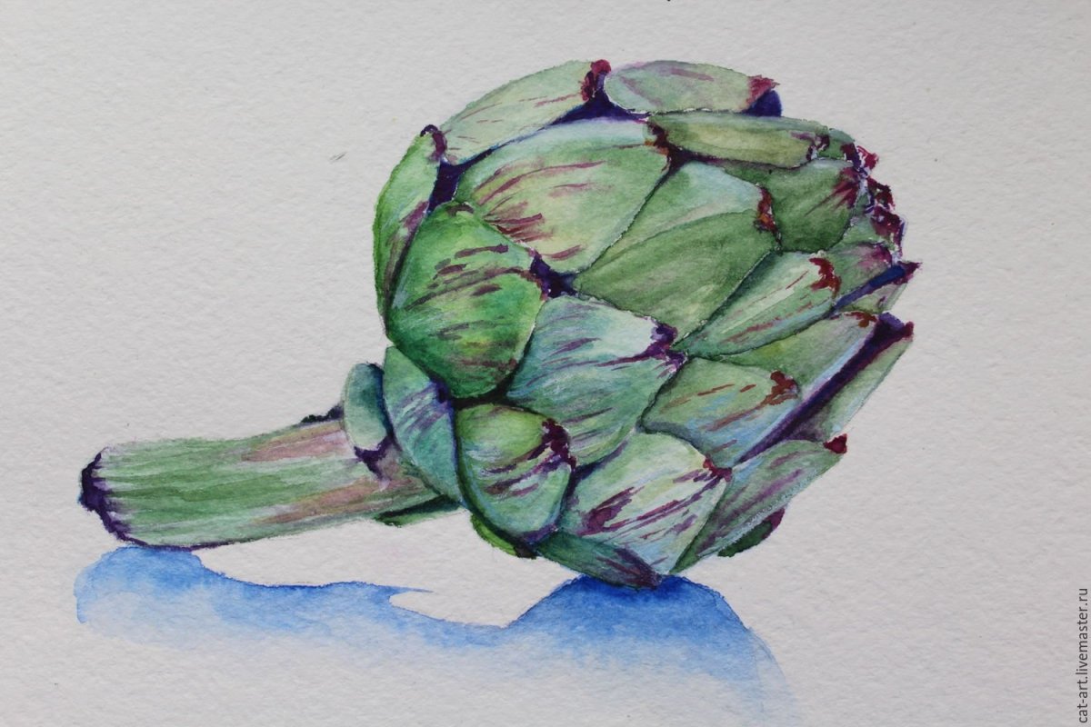 Артишок Камю