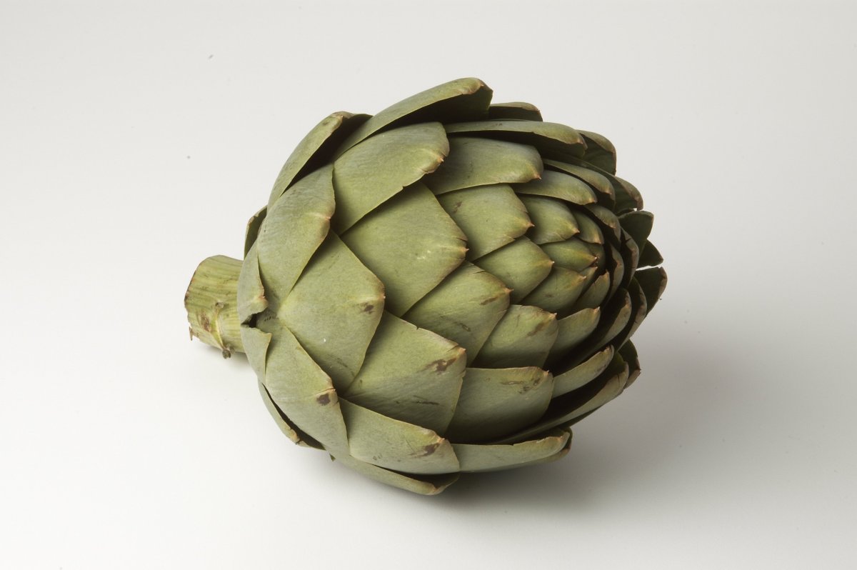 Репа фото на белом фоне