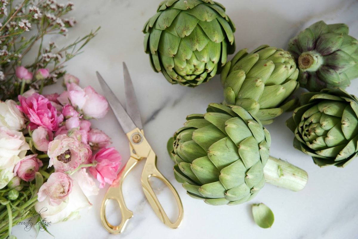 Гигантский артишок