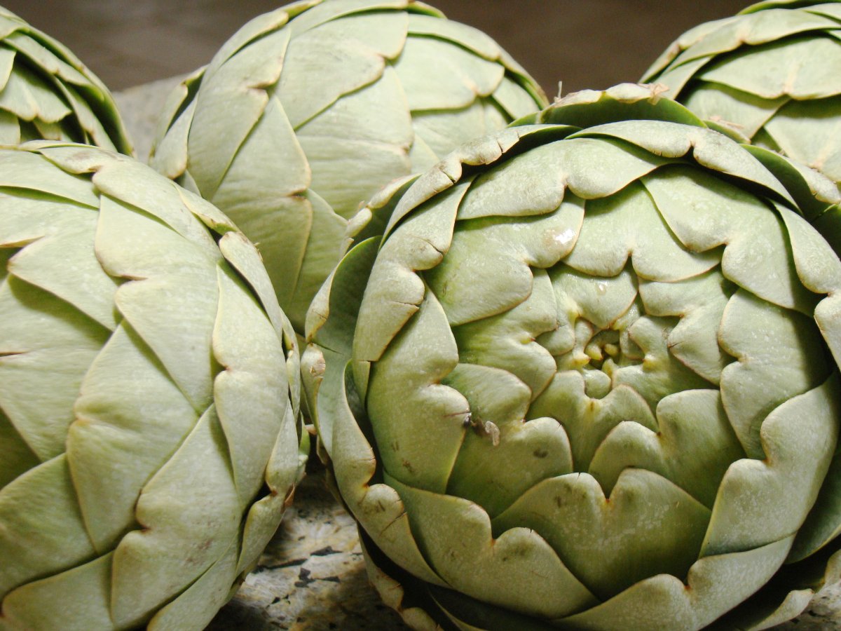 Артишок горный