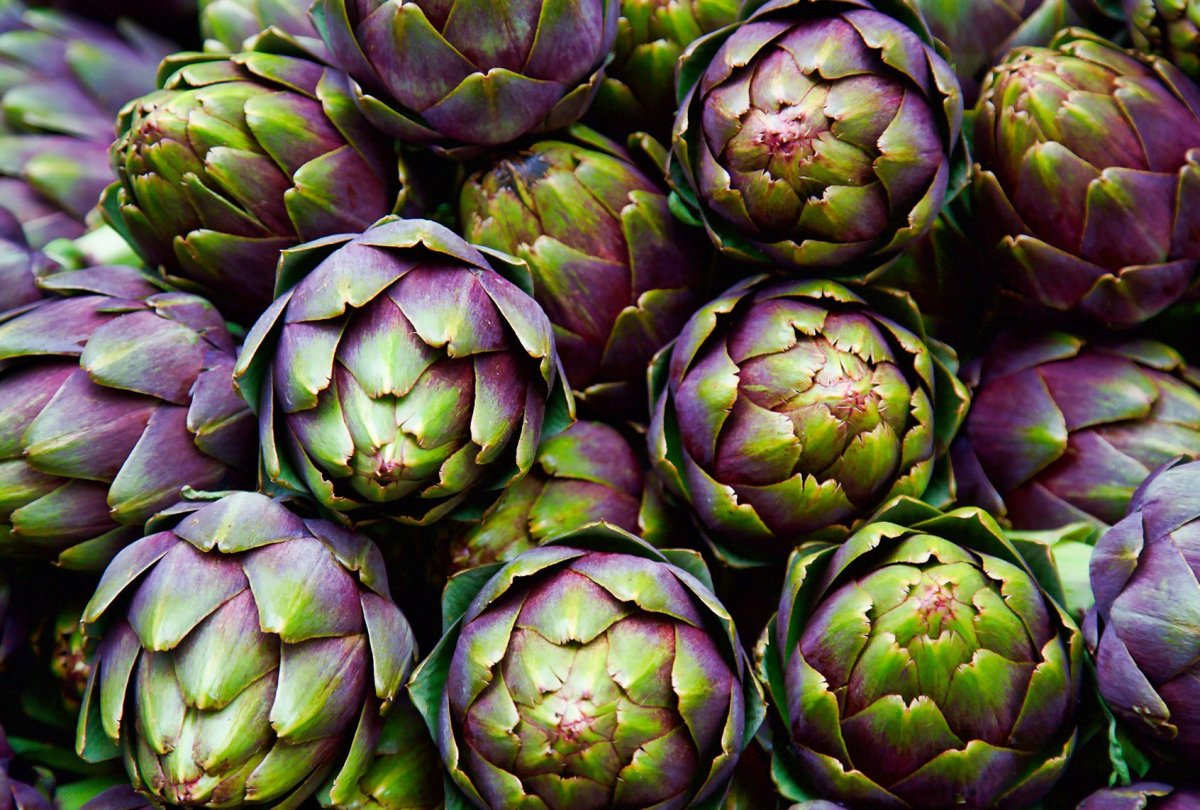 Керамика Artichoke