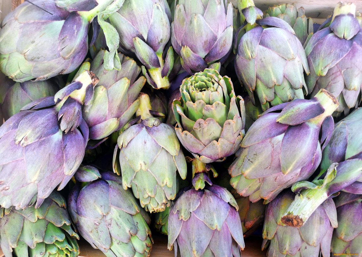 Лецират артишок гепакомб