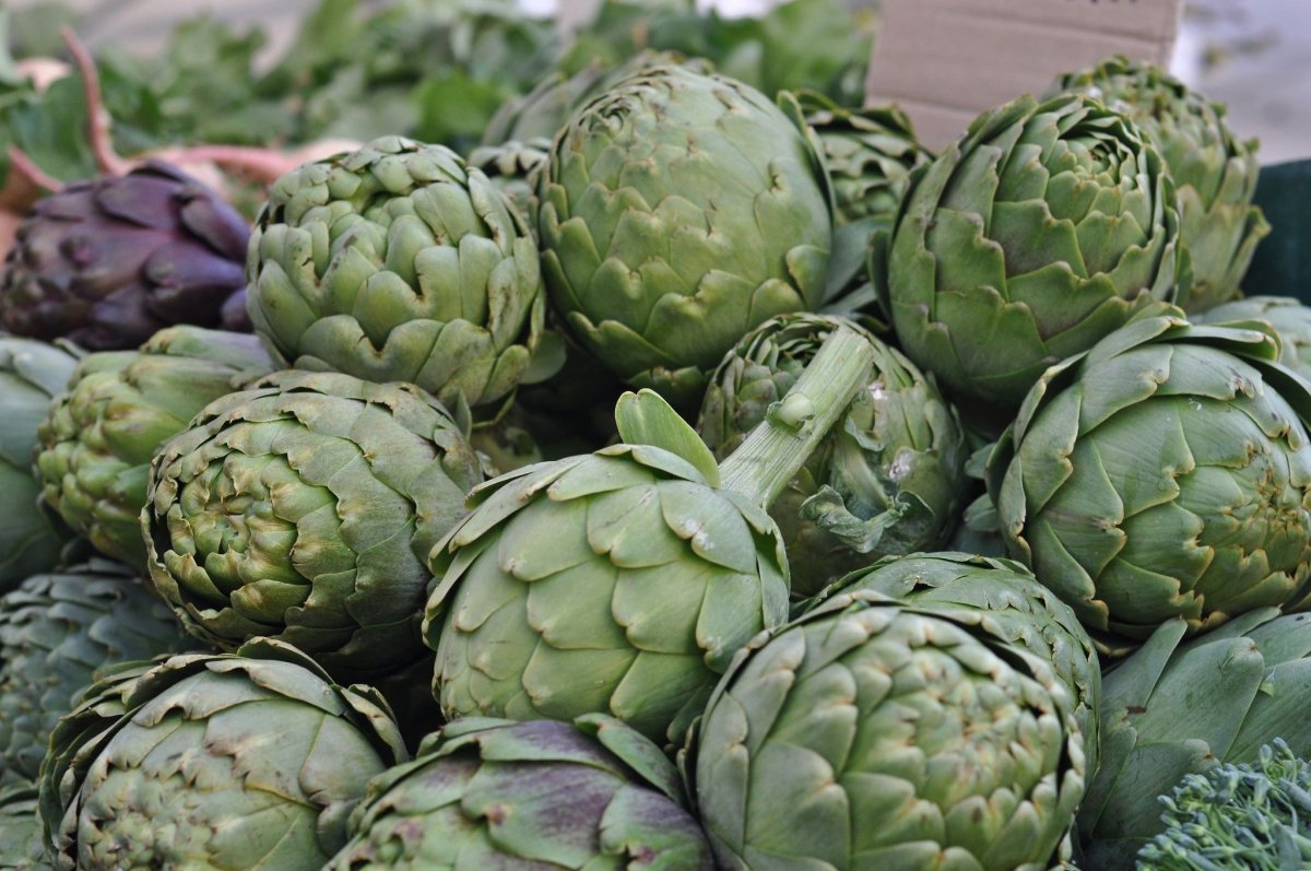 Артишок кустовой