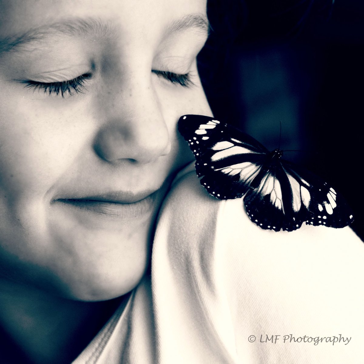 Поцелуй бабочки