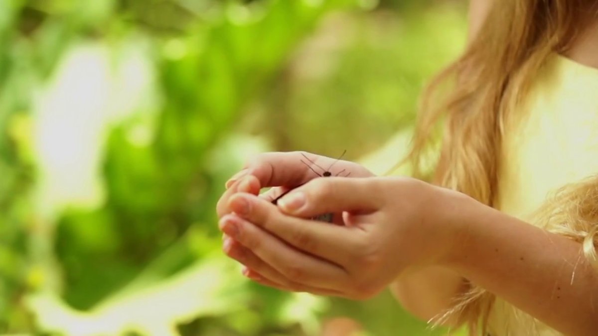 Девушка с бабочкой на ладони