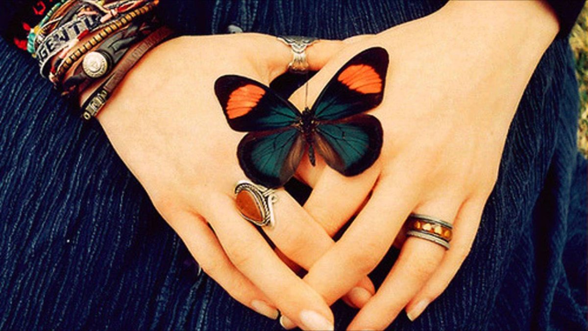 Бабочка на пальце