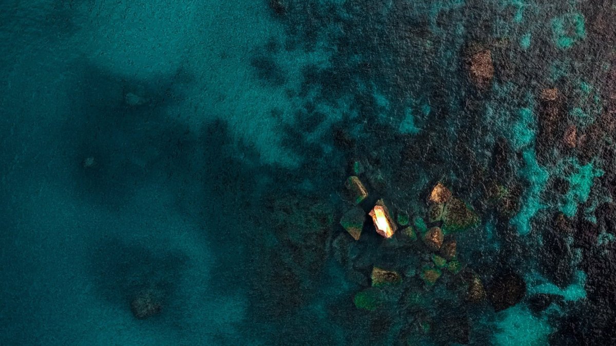 Дно океана сверху