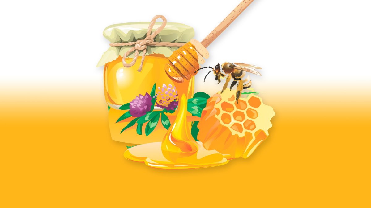 Баночка меда вектор