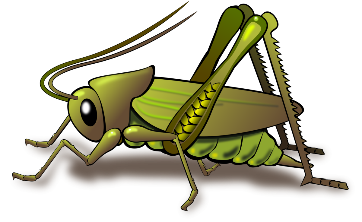 Муха Цокотуха кузнечик