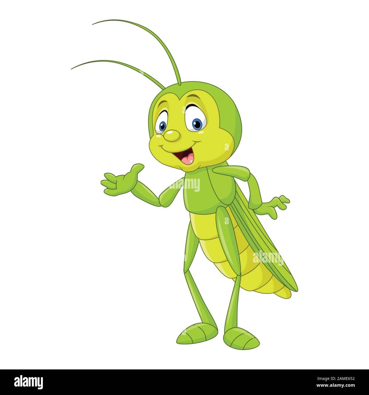 Насекомые без фона