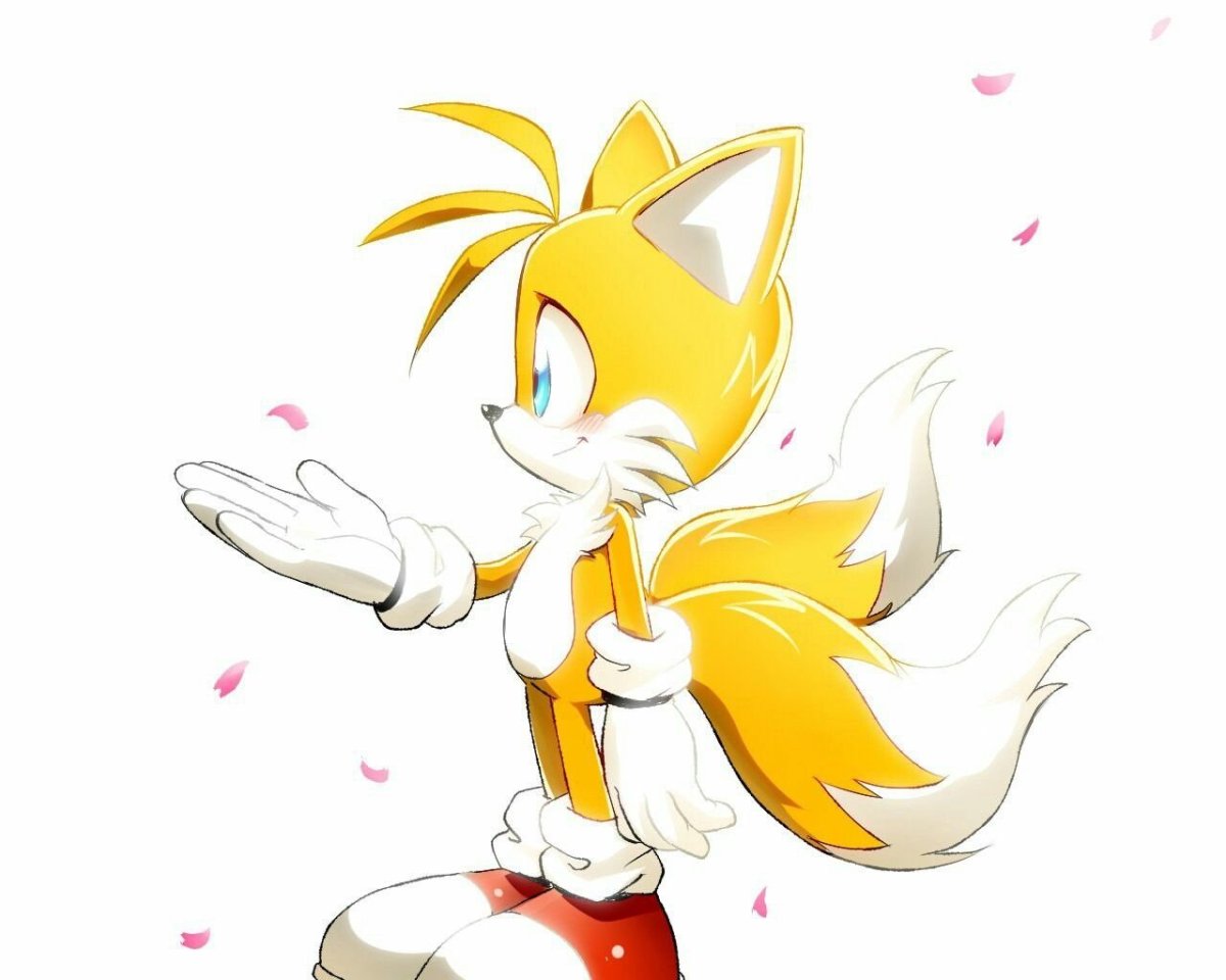 Тейлз Майлз Тейлз Прауэр