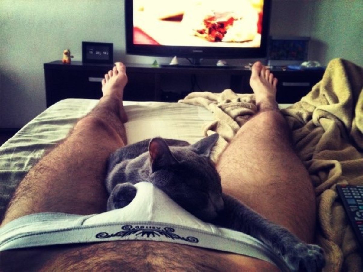 Просыпайся картинки прикольные