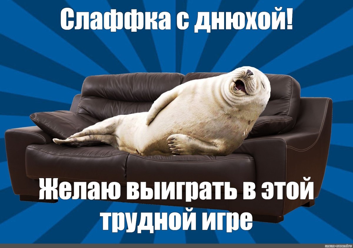 Тюлень на диване