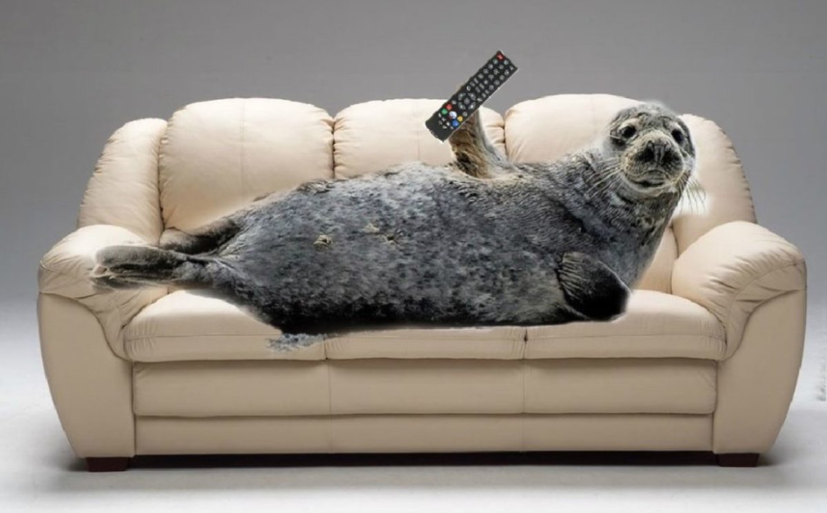 Валяться на диване