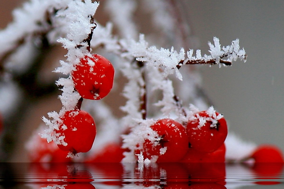 Осенний Вермонт США