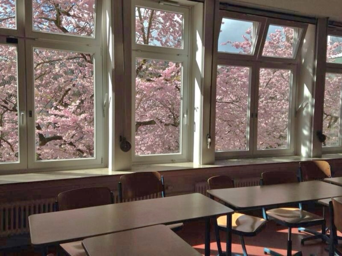 Школьный класс Эстетика