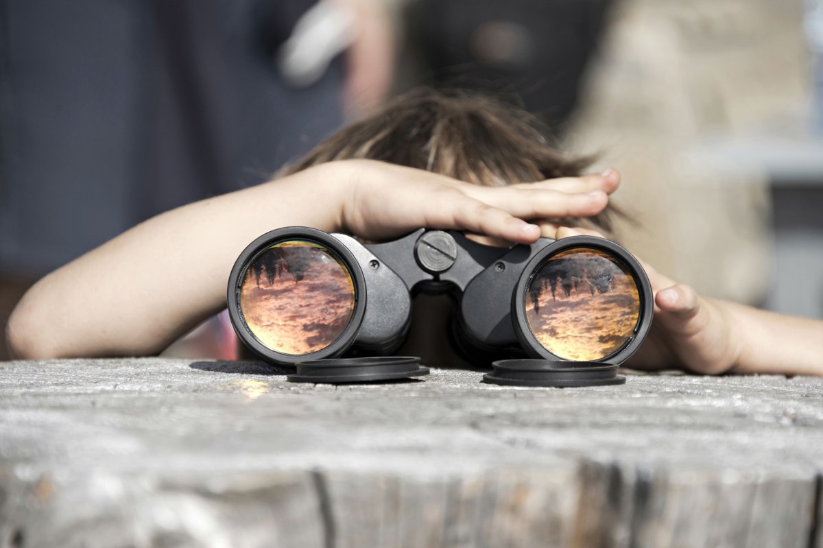 Наблюдать за людьми