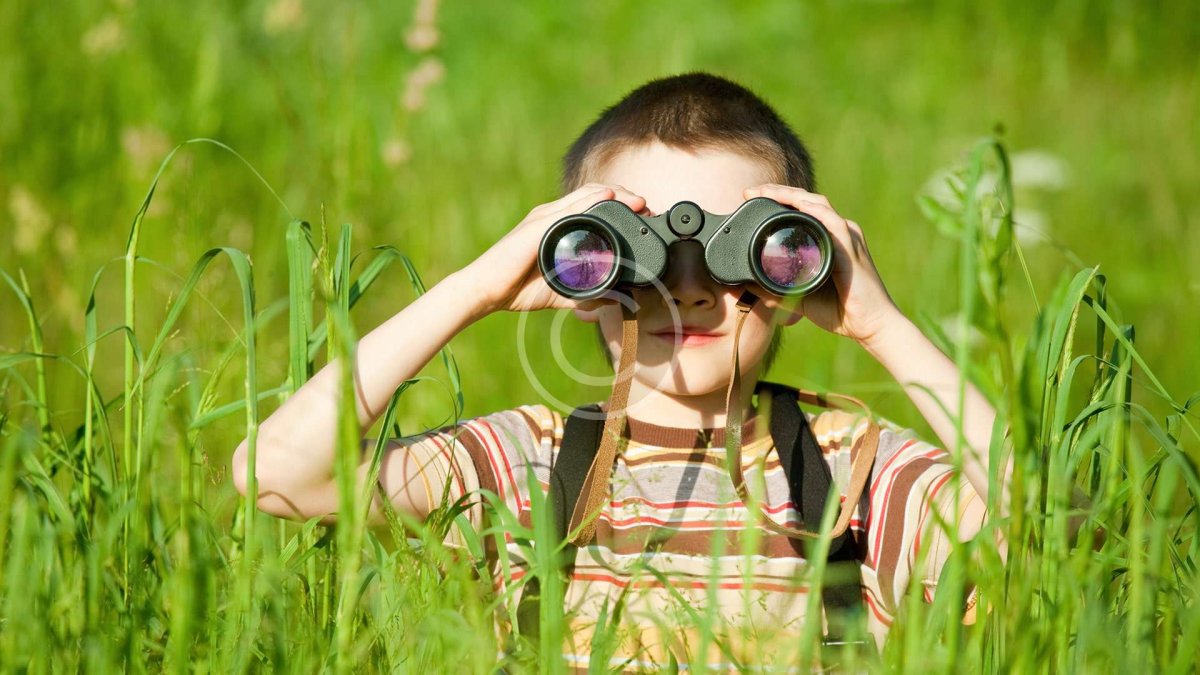 Наблюдение в бинокль