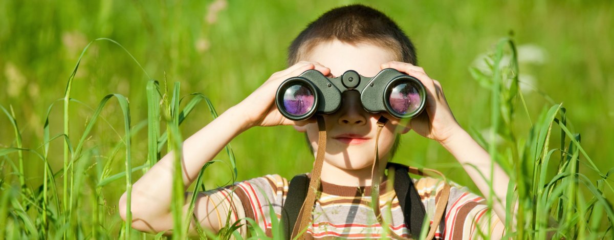 Дети наблюдают