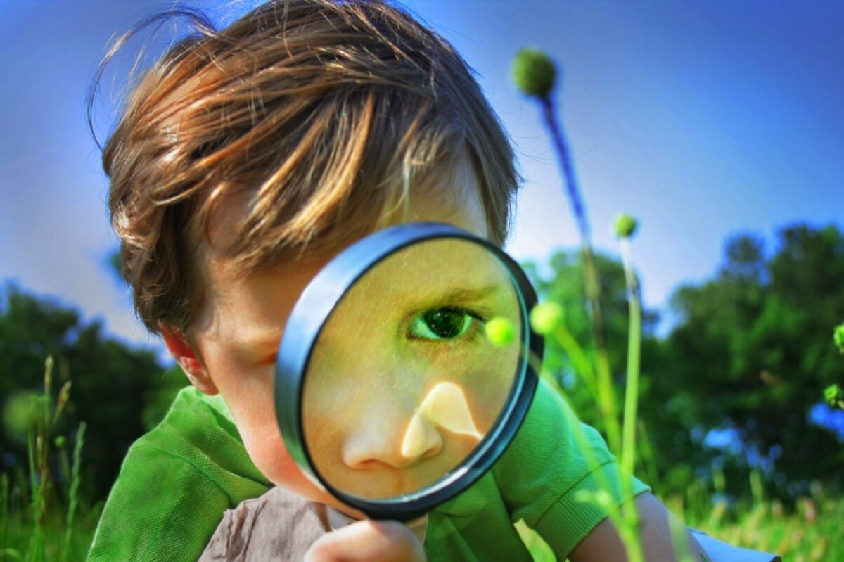 Любознательный ребенок