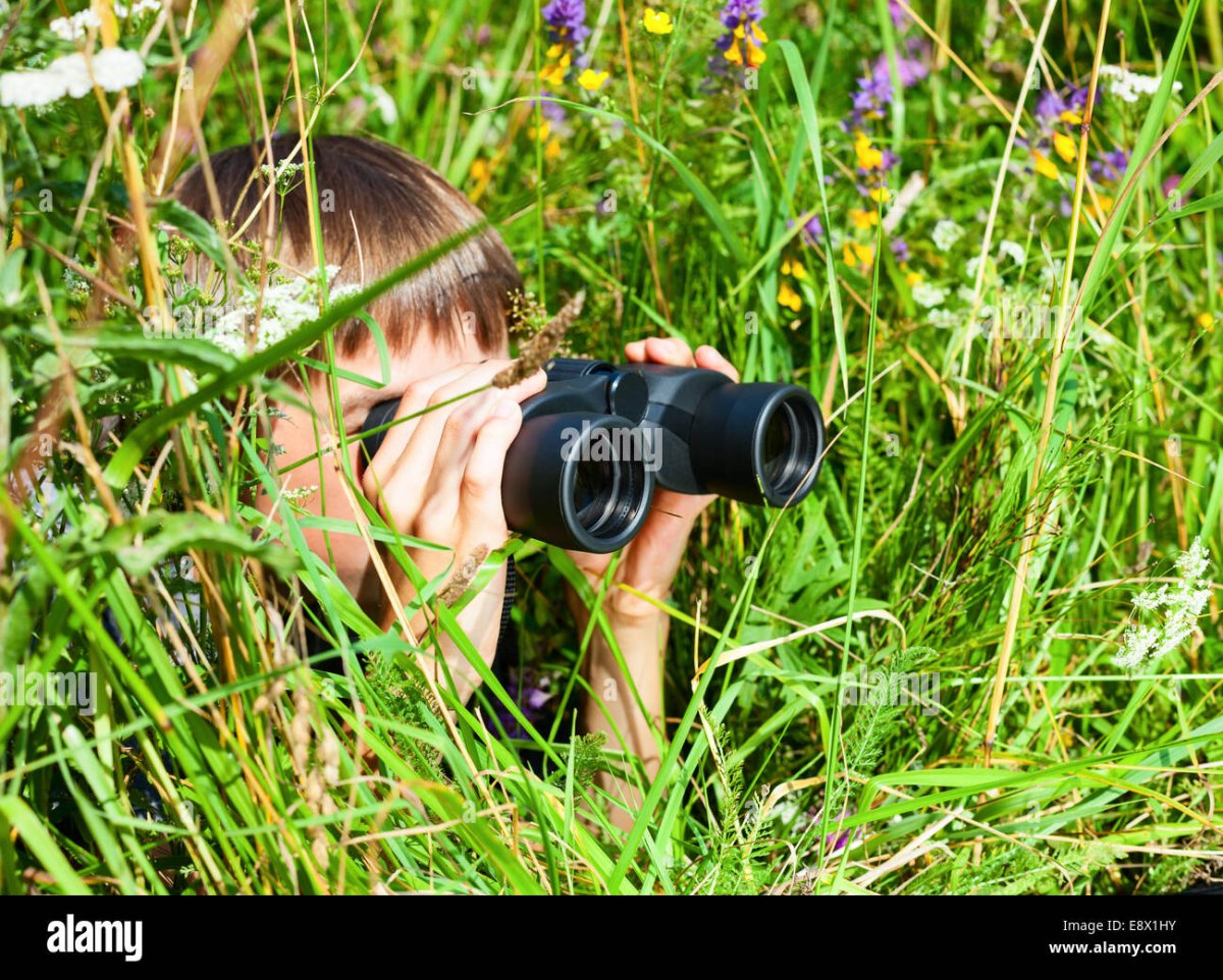 С биноклем в кустах