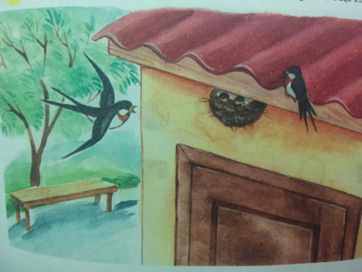 Ласточка вектор