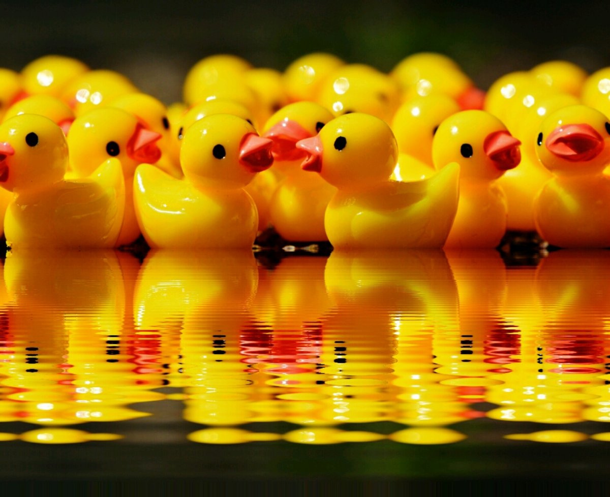 Желтый утенок