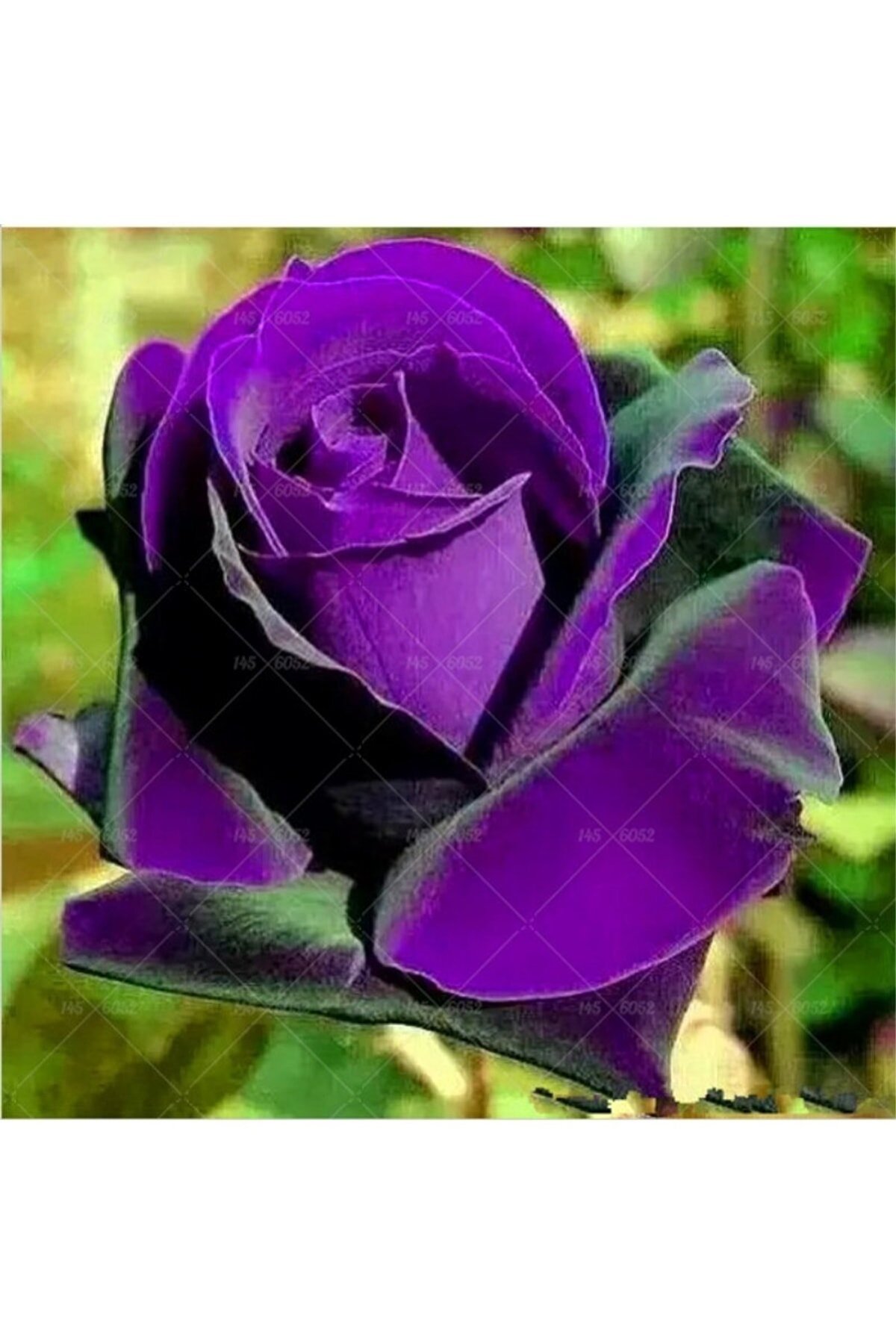 Поздравления с днём рождения Инне