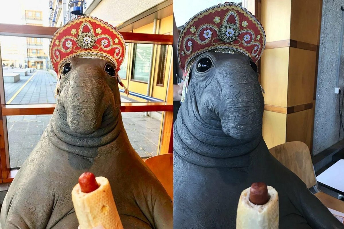 Ждун офисный