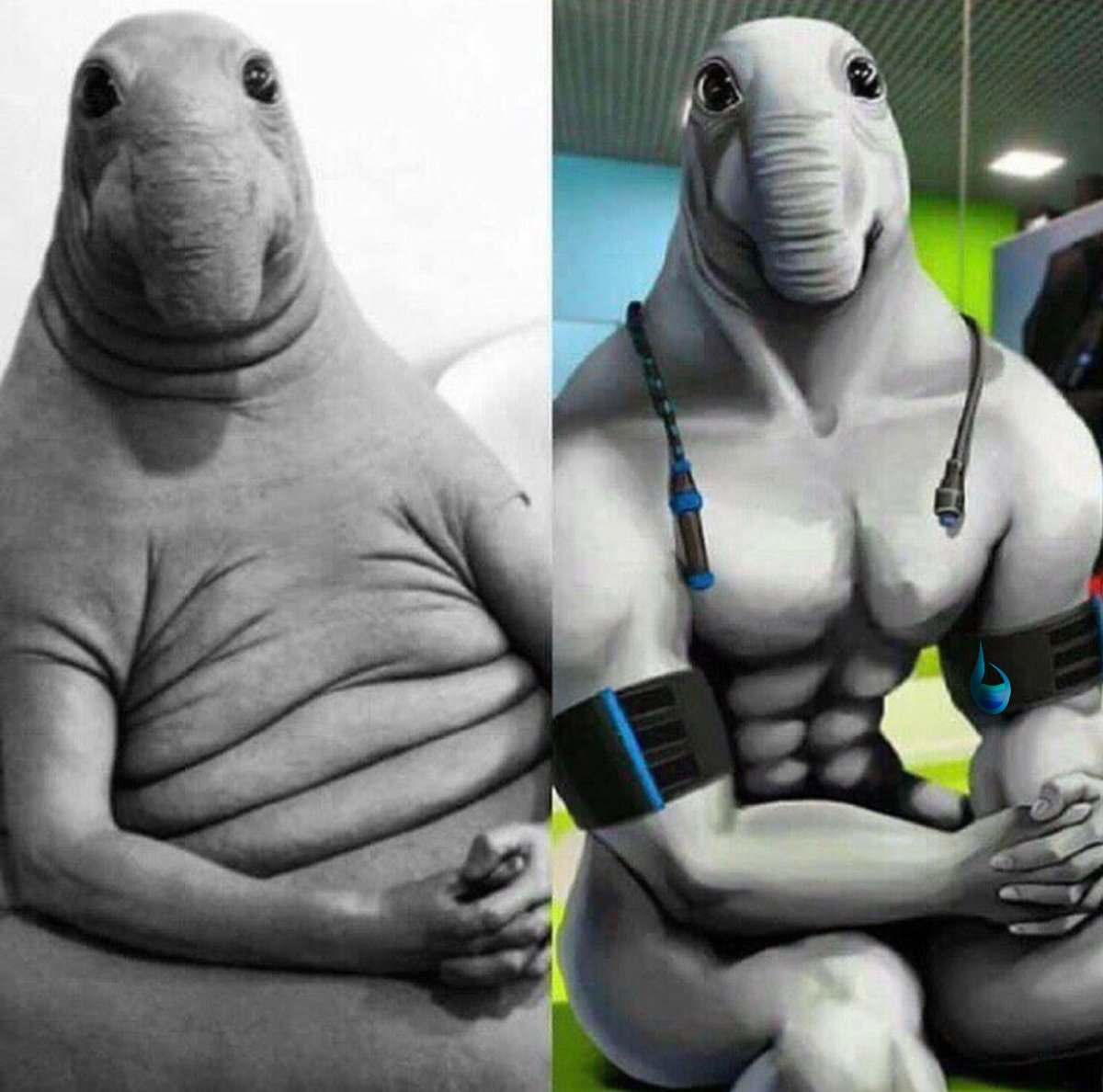 Может Махнем на море как в прошлом году