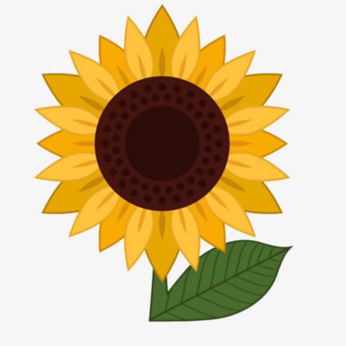 Подсолнух для детей