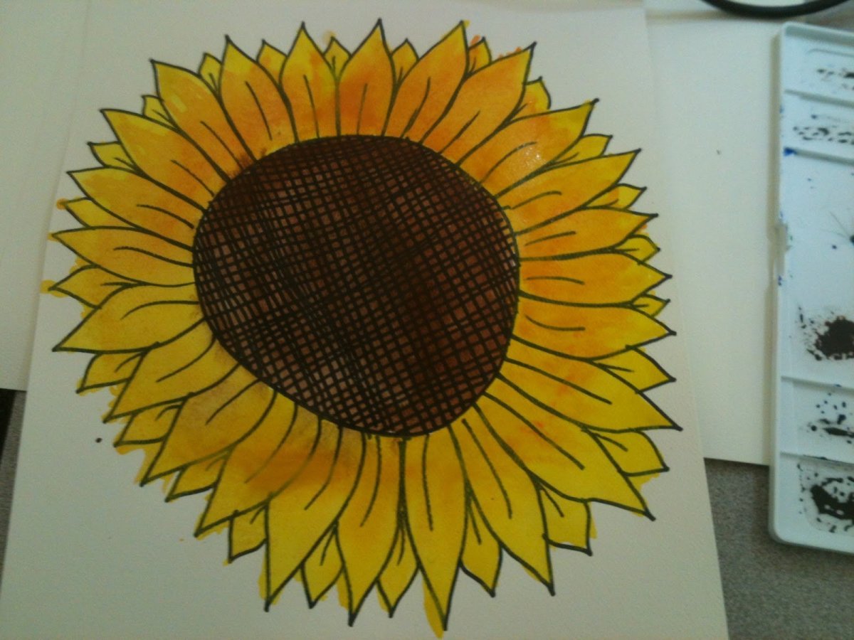 Дарить подсолнух