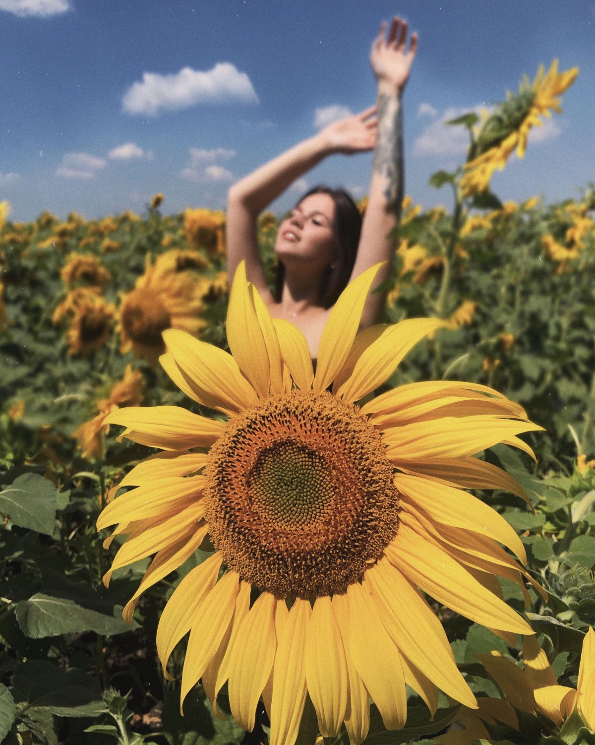 Брюнетка в подсолнухах