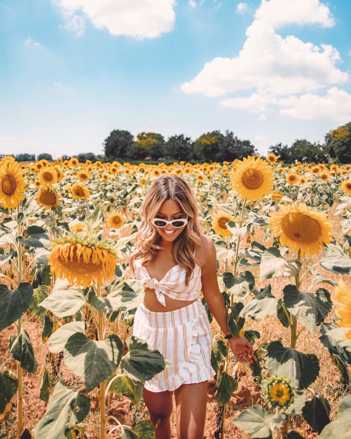 Подсолнух для детей