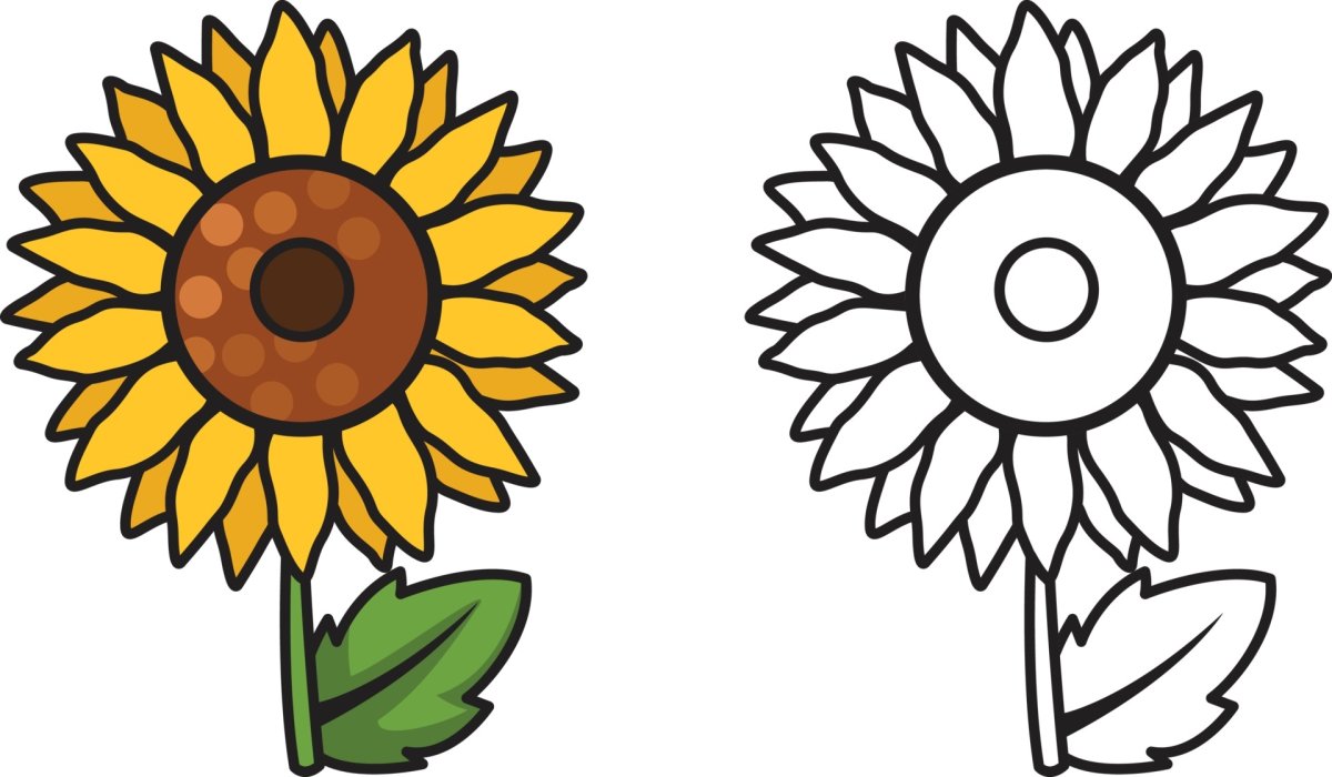 Детский сад подсолнух